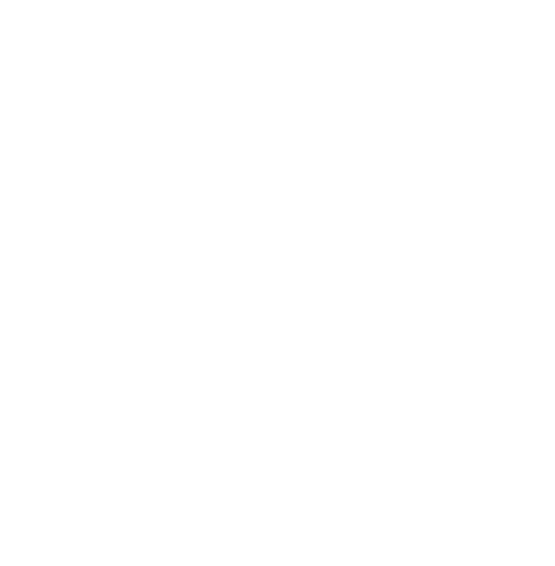 Whatsapp Icon